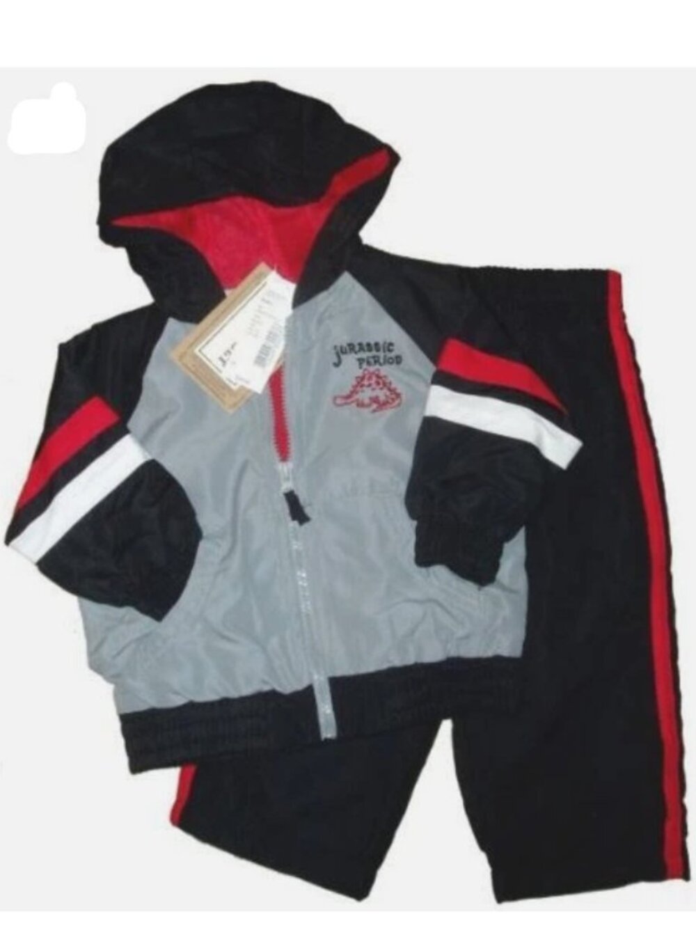 Dinosaur 2 pc Outfit Jacket Pants Set Boys Hoodie Sweat Suit Long Trousers